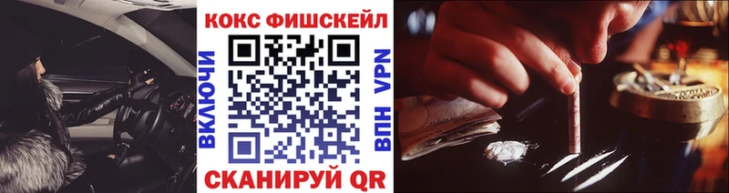 Кокаин Fish Scale  ОМГ ОМГ маркетплейс  Чапаевск 