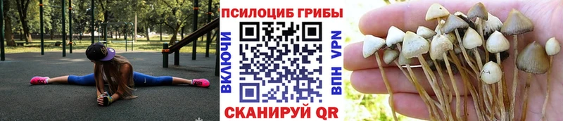Псилоцибиновые грибы Psilocybine cubensis Чапаевск