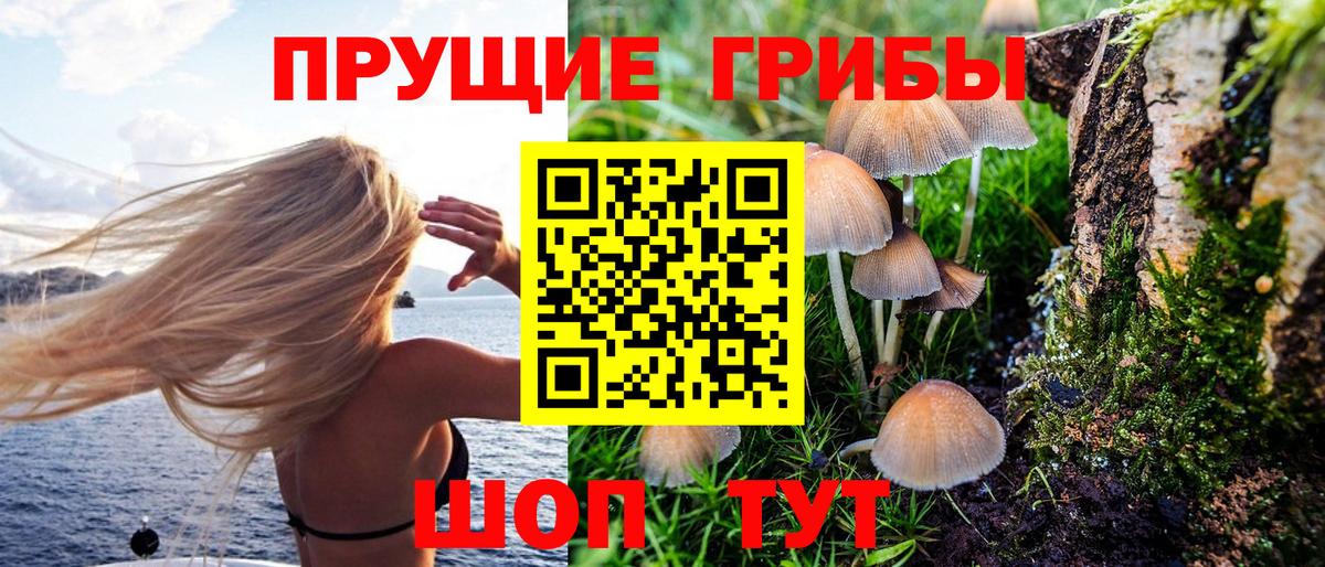 Галлюциногенные грибы Magic Shrooms Чапаевск