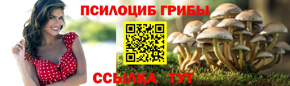 Галлюциногенные грибы MAGIC MUSHROOMS Чапаевск